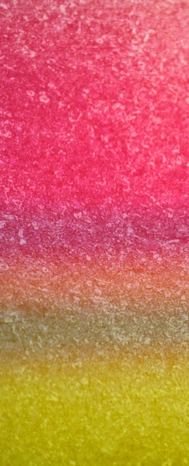 "Franz Ringel" © 2019 Heinz Lechner