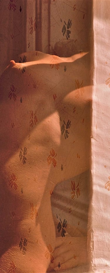 "Musterschnitt" © 1992 Heinz Lechner