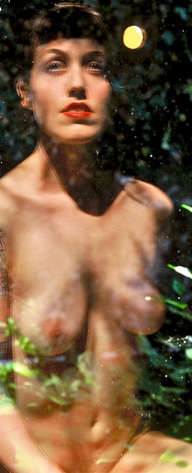 "Nymphenstich" © 2000 Heinz Lechner