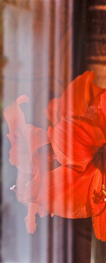 "Omapat" © 1989 Heinz Lechner