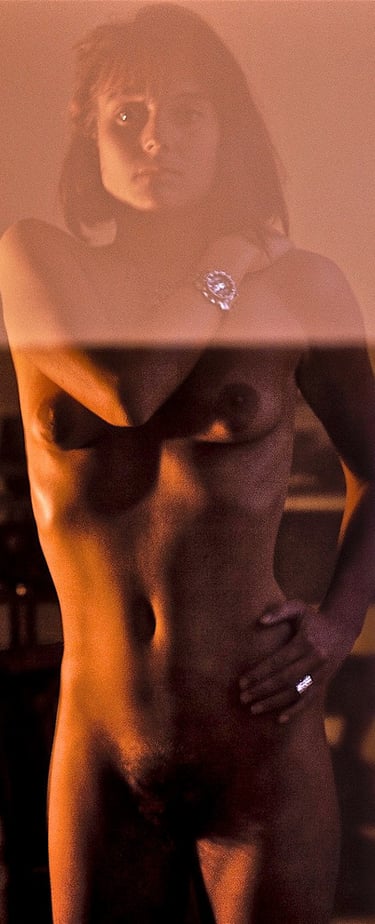 "Silberordner" © 1992 Heinz Lechner