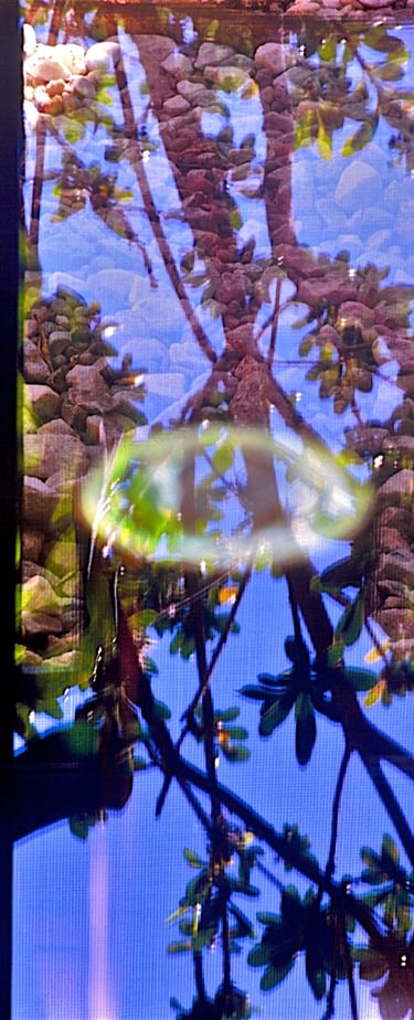 "Tischbein" © 1999 Heinz Lechner