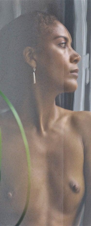 "Traumbeige" © 1989 Heinz Lechner