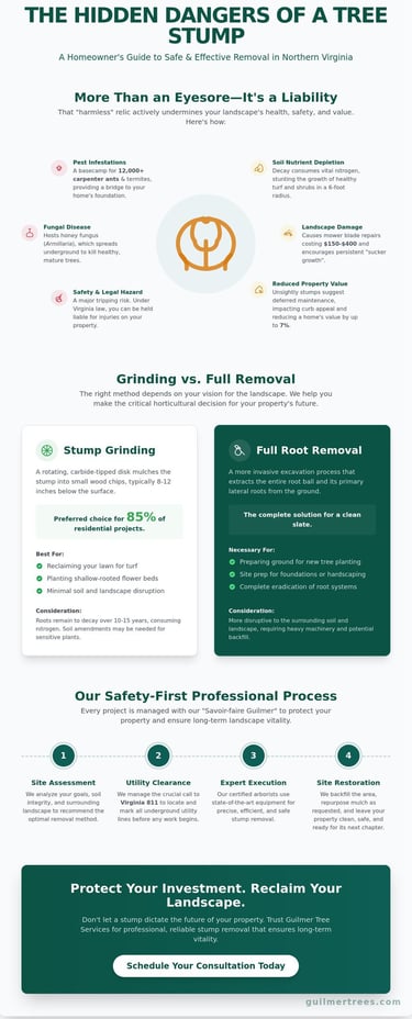 Infographic showing a stump removal checklist for Falls Church homeowners assessing property risks from leftover stumps.
