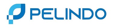 The blue Pelindo logo featuring an abstract circular icon next to bold sans-serif corporate branding text.