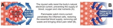 How Painmaster works at the cellular level.