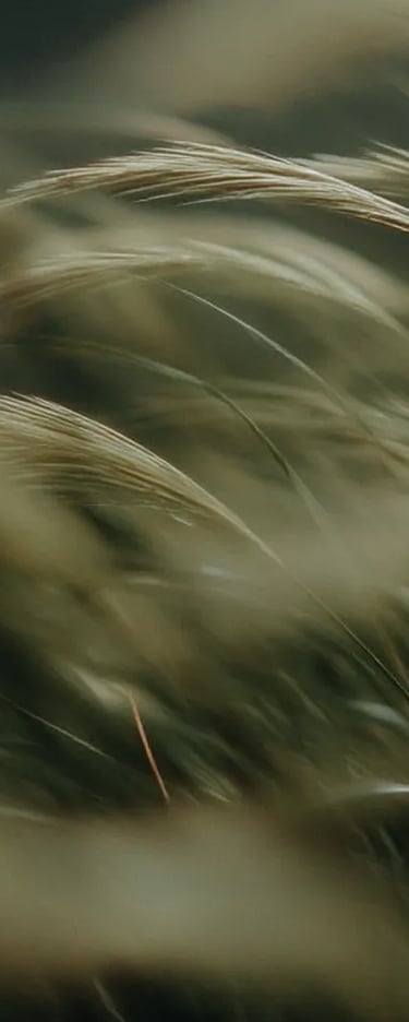 nature. Wise Women Wellness Programmes