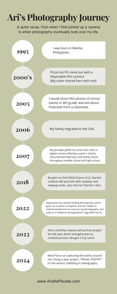 A timeline flowchart with short descriptions from 1995 to 2024.