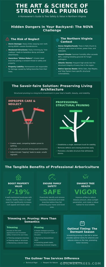 Infographic on expert tree trimming in Northern Virginia highlighting structural care for Falls Church properties.