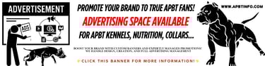 Advertising on APBT INFO – Connect with True APBT Enthusiasts