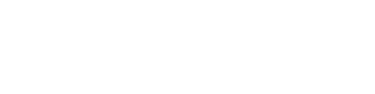 bitveil-logo
