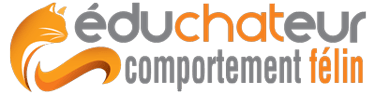 éduchateur comportement félin