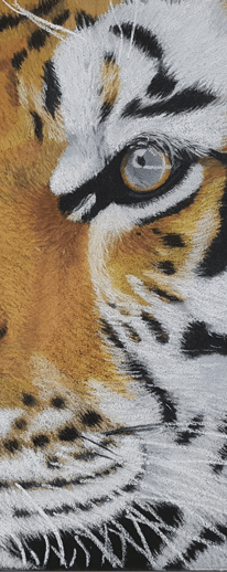Tigre au pastel sec