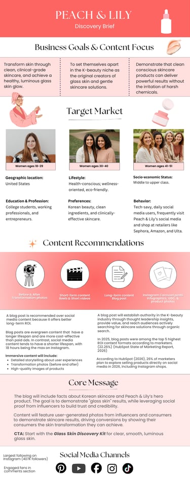 Discovery Brief Infographic