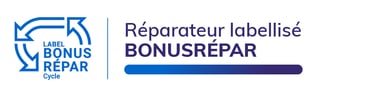 logo bonusrepar