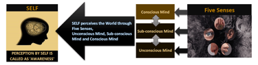 Perception by Self