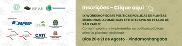 9° workshop de pindamonhangaba