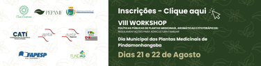 INSCRICOES VIII WORKSHOP 2025
