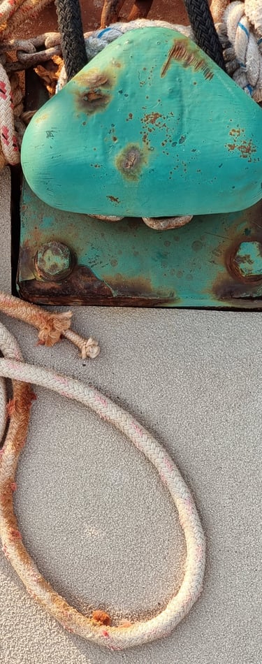 bitte amarrage port grimaud 2