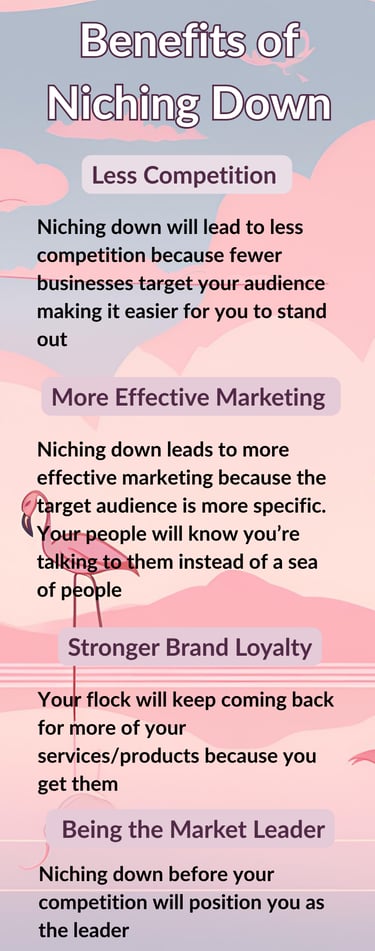 Infographic explaining business benefits of niching down with flamingo illustrations and marketing tips.
