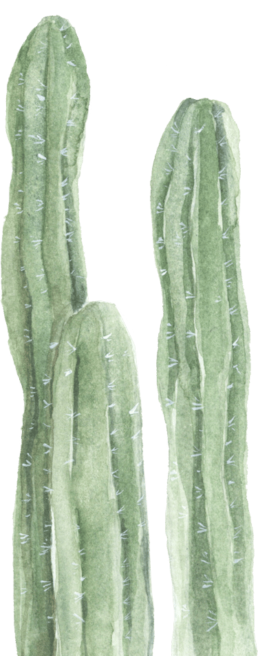 tall linear cactus