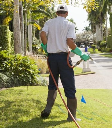 Our professional team covers every inch.