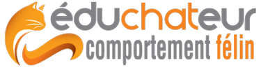 éduchateur comportement félin