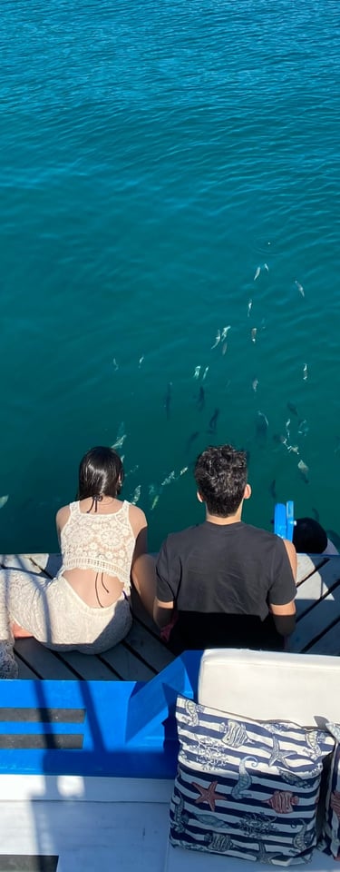 imagem de duas pessoas vendo os peixes a bordo do barco anequim, na ilha comprida em paraty