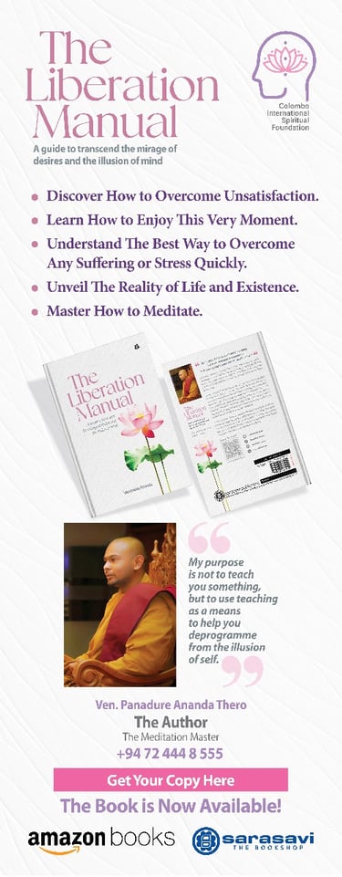 a book cover of the book the liberation manual