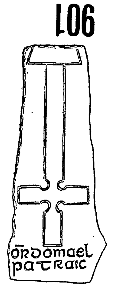 Iniscealtra Runestone 901 - Barony of Tulla Upper, County Clare, Ireland