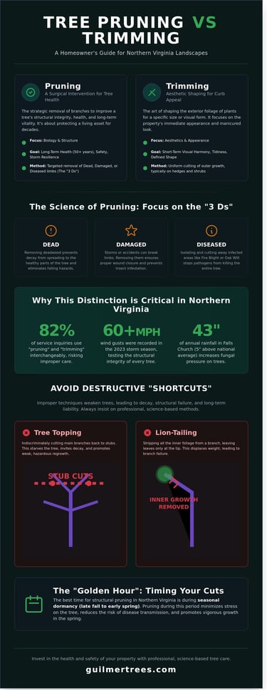 Infographic comparing tree pruning vs. trimming for Falls Church homeowners in 2026 with key tree care guidance.