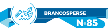BRANCOSPERSE N 85