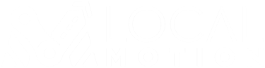 Local Motion Logo