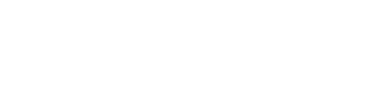 Selo de Shopify Partner