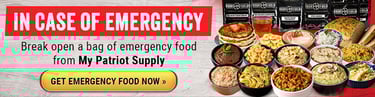4-week emergency food supply