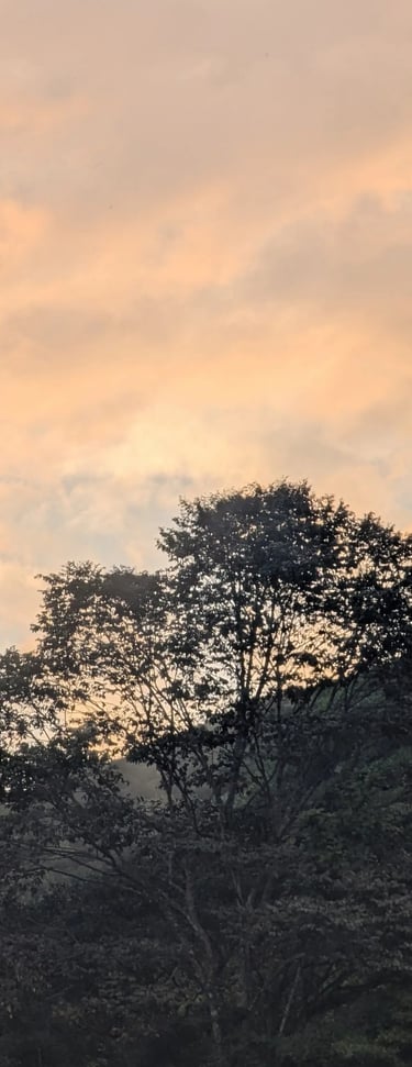 Sunsets from the mountains of Santa Marta