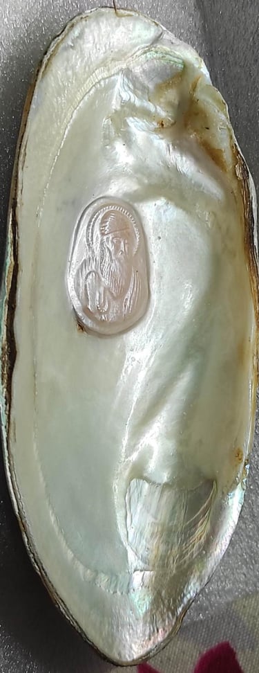 "Angled view of 11mm pearl–white glossy finish, nucleus cultured-for overseas markets"