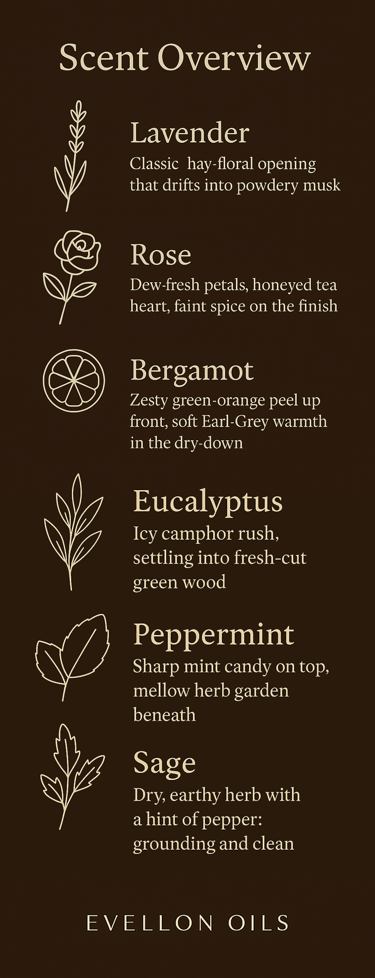 Chart describing six scents from lavender and rose to bergamot, eucalyptus, mint, and sage