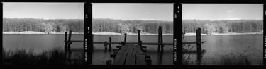 Composed black and white photo serene lakeside scene aged wooden dock calm waters dense forest in the background