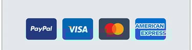 we accept Visa PayPal Mastercard and American Expreee
