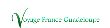 logo voyage france guadeloupe