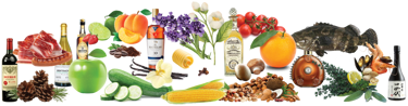 Aromas, Fruits, Vegetable, Flower, Nuts, Wine & Spirits