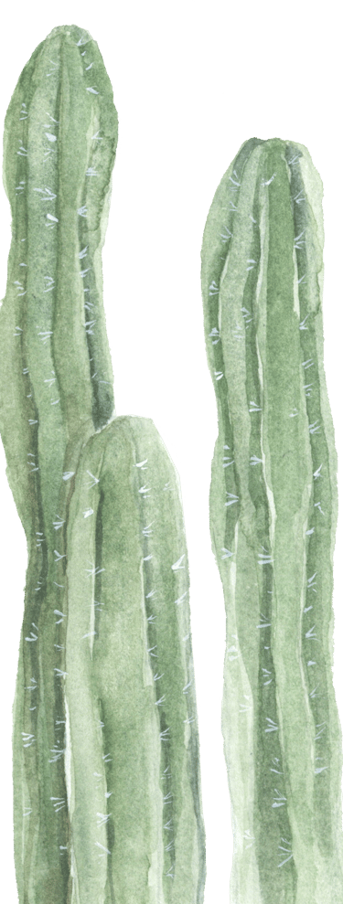 tall linear cactus