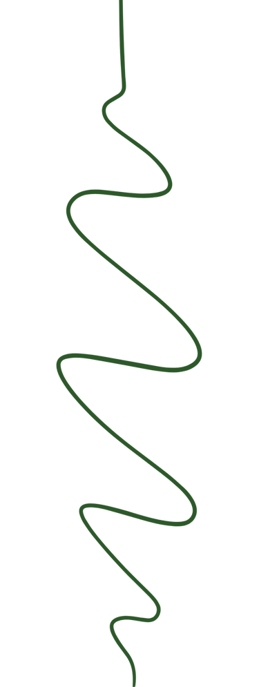 Ligner verte pour représenter la frise chronologique de Kadiamor et comment le projet a émergé