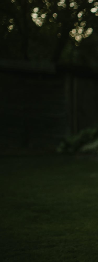 labai tamsios žalios spalvos fonas