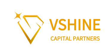 VShine Capital Partners logo