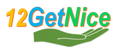 12GetNice logo
