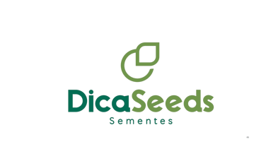 DicaSeeds logo