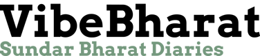 VibeBharat logo