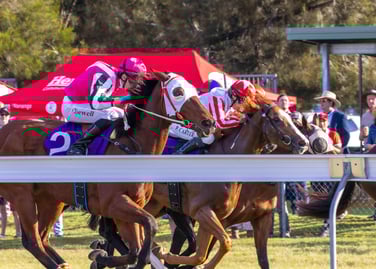 Horses racing past the crowd at Nanango